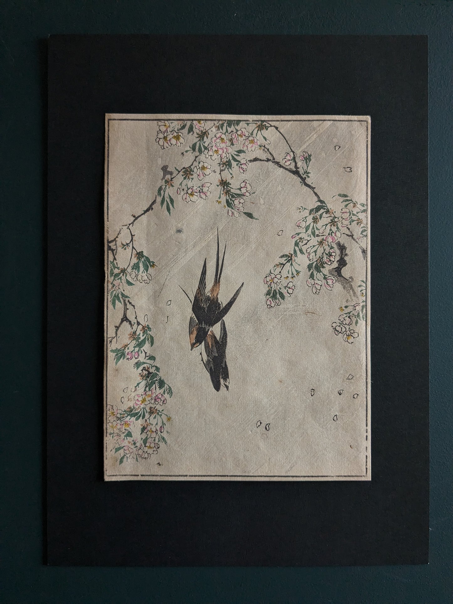 Vintage Japanese woodblock printed picture: 1900s, sakura/cherry blossoms and a pair of swallows