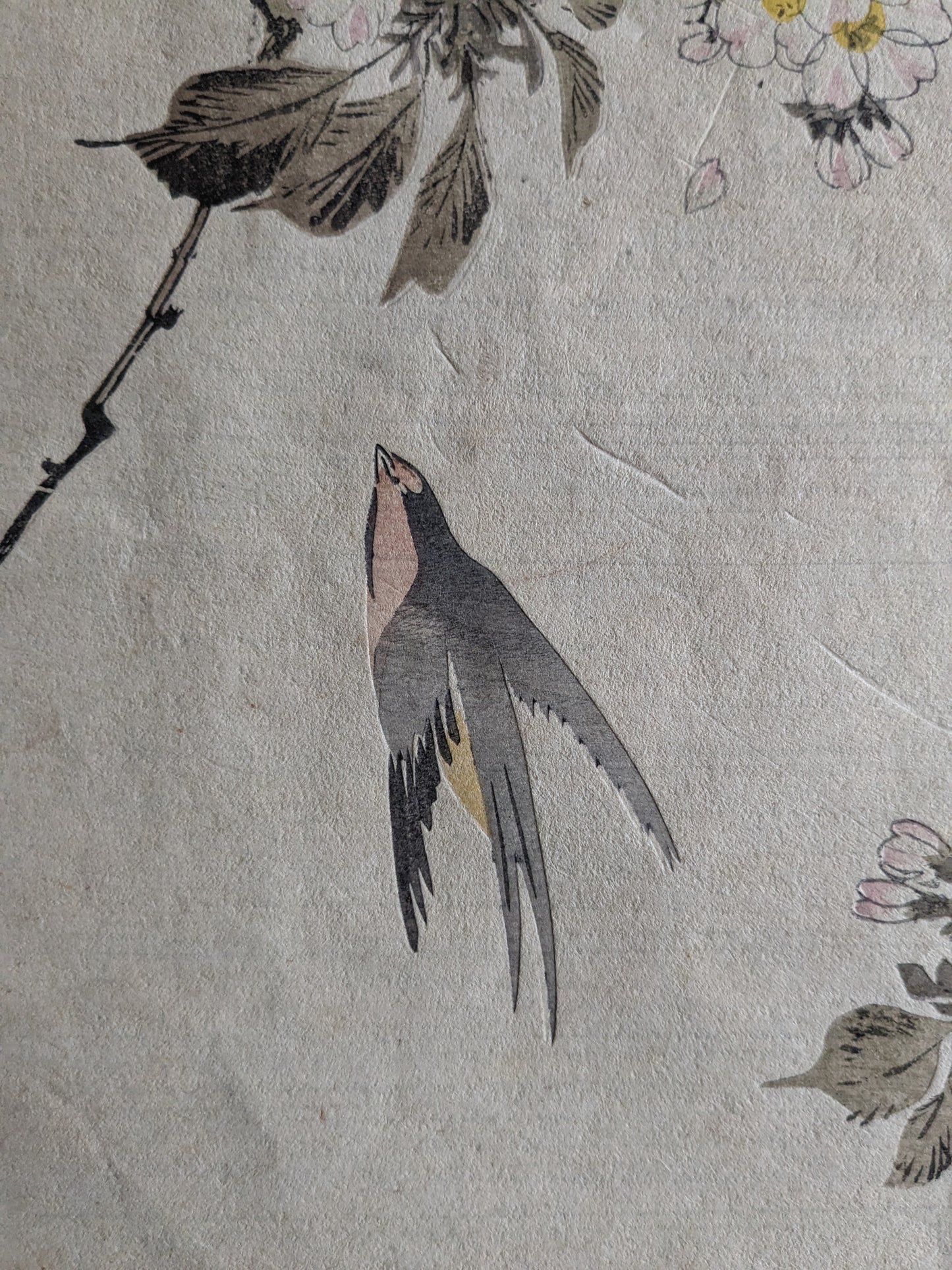 Vintage Japanese woodblock printed picture: 1900's, sakura/cherry blossoms and a swallow